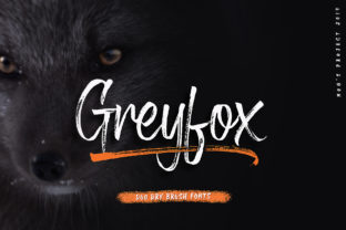 Greyfox: The Brush Font That Turns Everyday Designs Into Unforgettable Moments