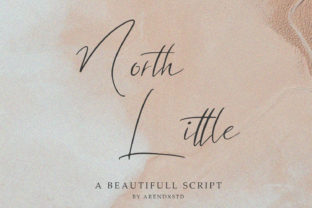 North Little: An Elegant Script Font